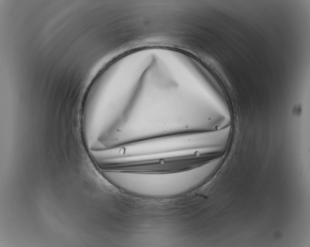 X0000113001288200909171357