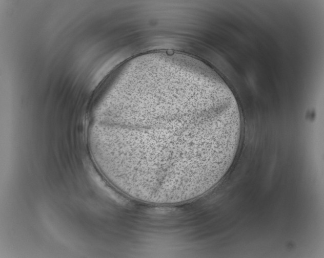 X0000113001290200909171357