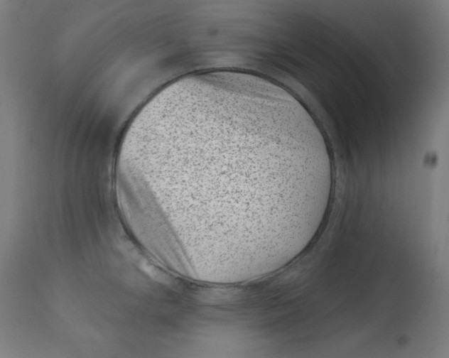 X0000113001294200909171357