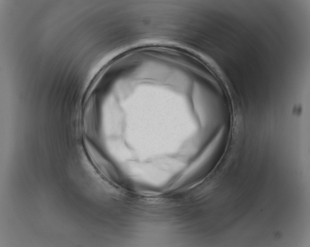 X0000113001295200909171357