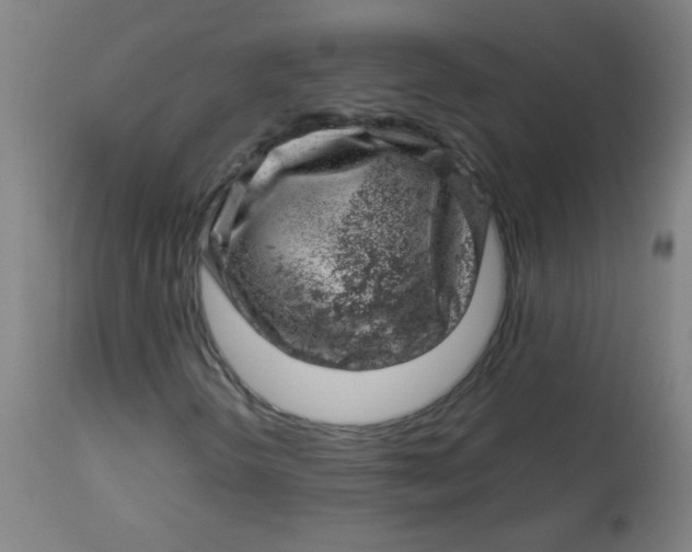 X0000113001298200909171356