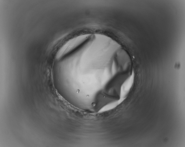 X0000113001302200909171356