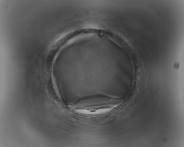 X0000113001303200909171356