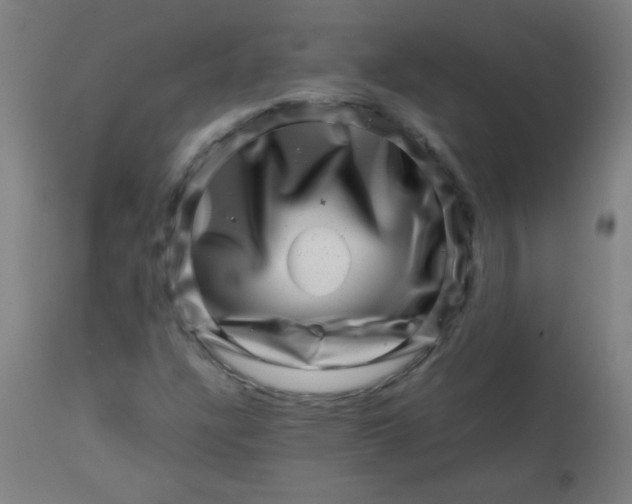 X0000113001304200909171356