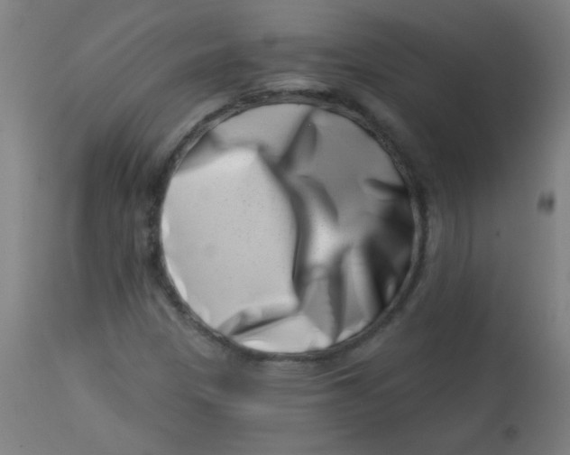 X0000113001305200909171356