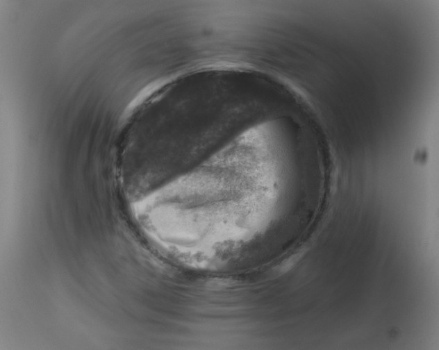 X0000113001306200909171356