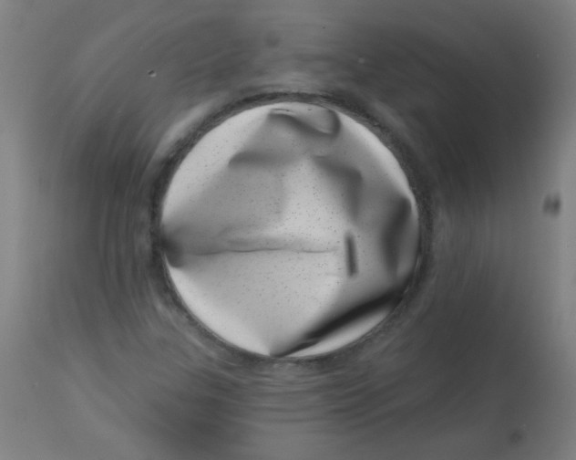 X0000113001307200909171356