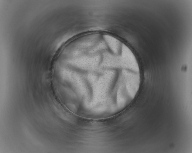 X0000113001308200909171356