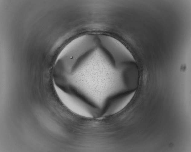 X0000113001309200909171356