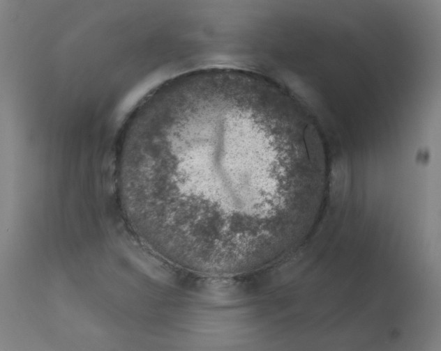 X0000113001310200909171356