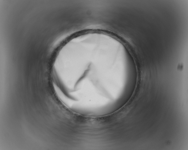 X0000113001311200909171356