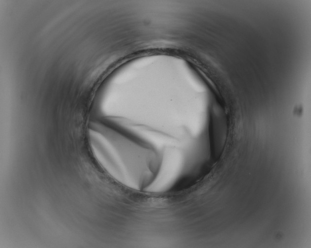 X0000113001313200909171356