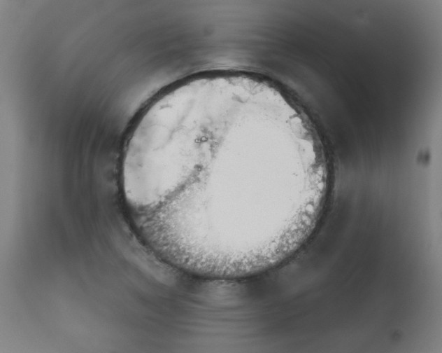 X0000113001314200909171356