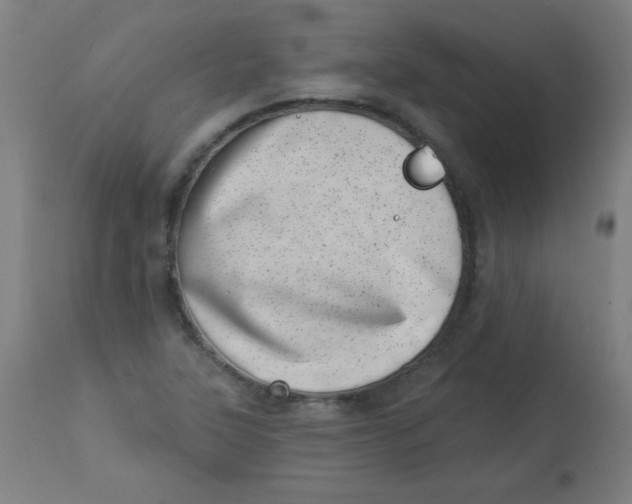 X0000113001315200909171356