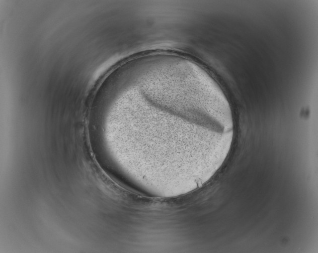 X0000113001316200909171356