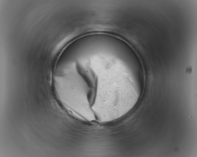 X0000113001317200909171356