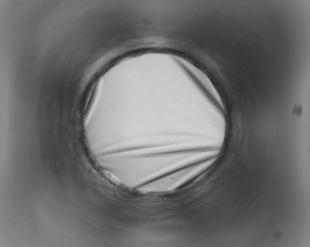 X0000113001318200909171356