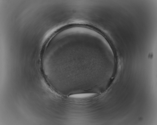 X0000113001319200909171356