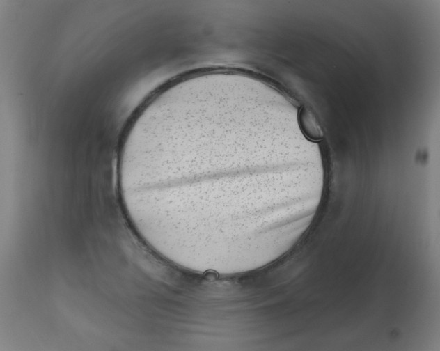 X0000113001320200909171357