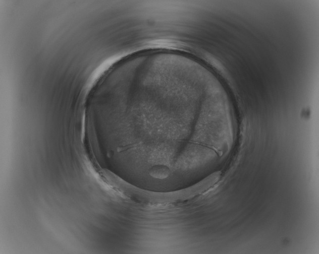 X0000113001323200909171357