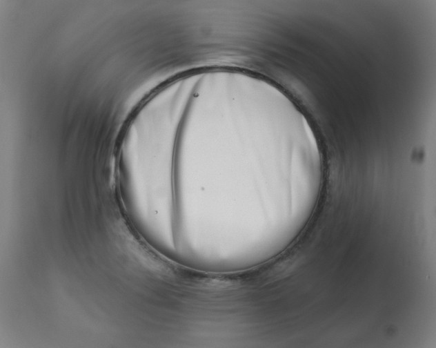 X0000113001324200909171357