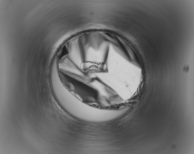 X0000113001326200909171357