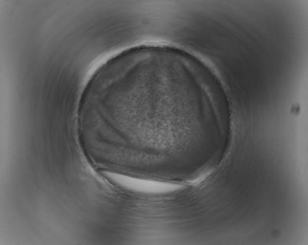 X0000113001327200909171357