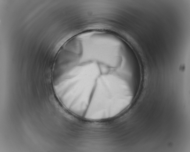 X0000113001329200909171357