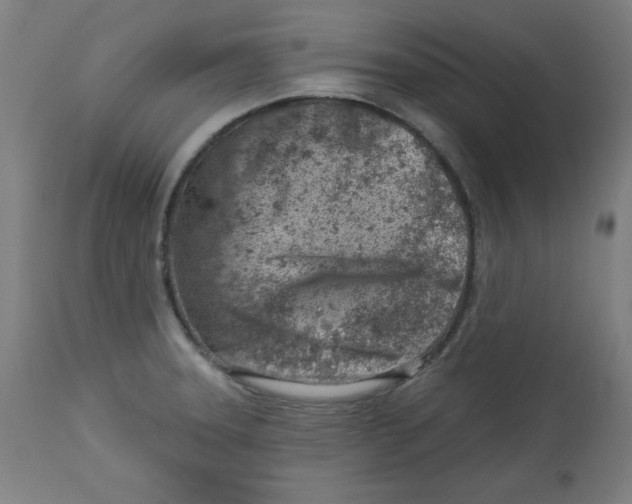 X0000113001331200909171357