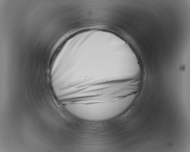 X0000113001332200909171357