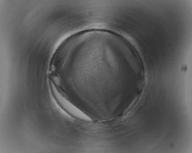 X0000113001334200909171357