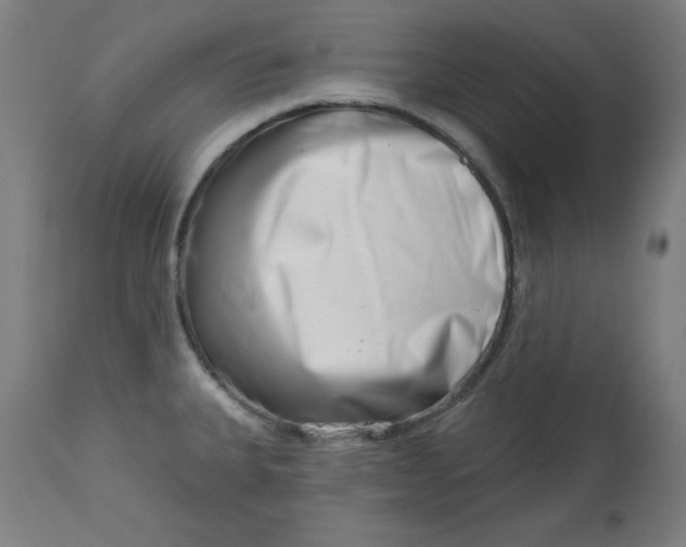 X0000113001335200909171357