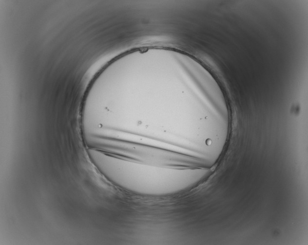 X0000113001336200909171357