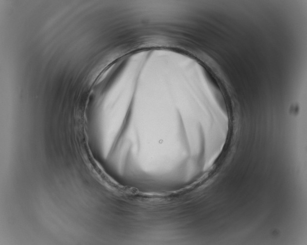 X0000113001337200909171357