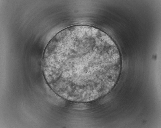 X0000113001338200909171357