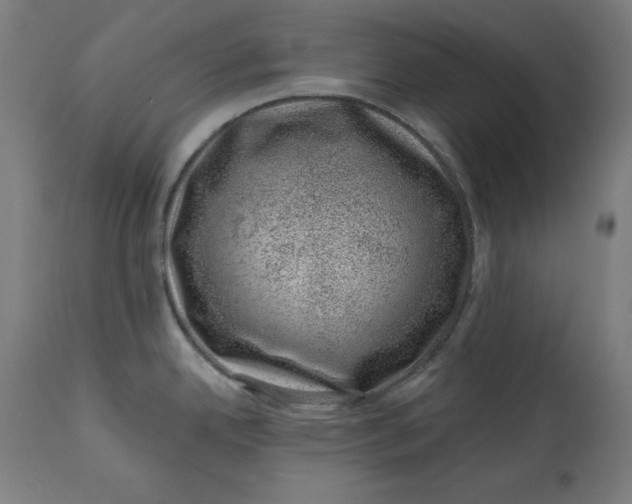 X0000113001342200909171357