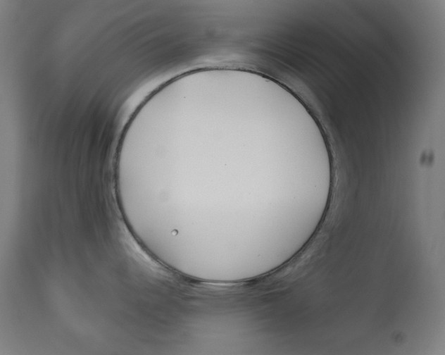 X0000113001344200909171357