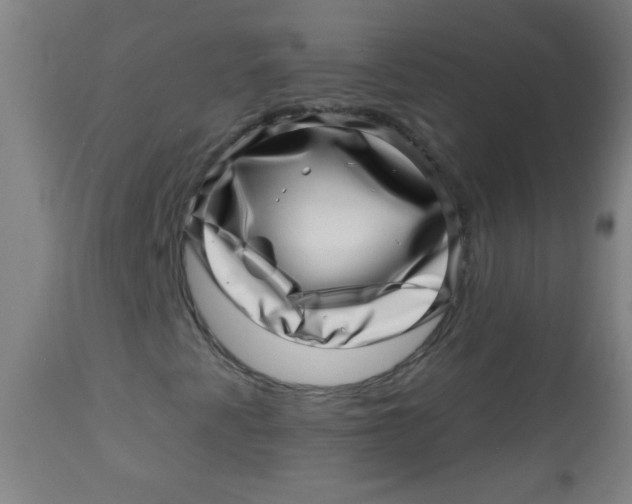 X0000113001345200909171356