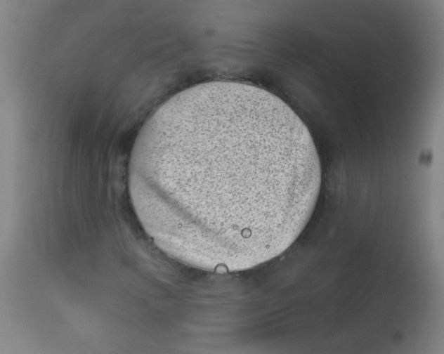 X0000113001346200909171356