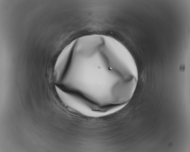 X0000113001348200909171356