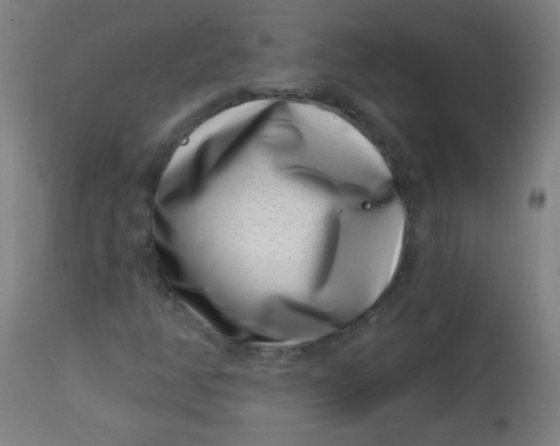 X0000113001350200909171356