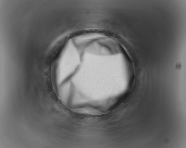 X0000113001351200909171356