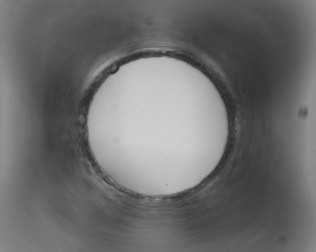 X0000113001352200909171356