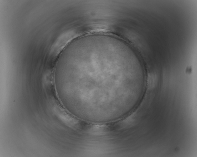 X0000113001353200909171356