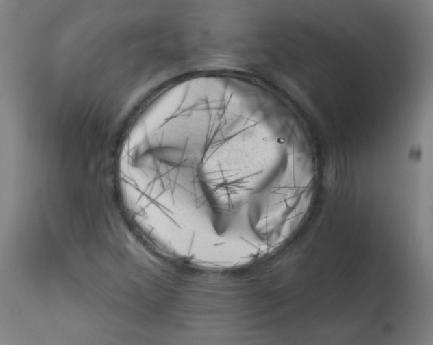 X0000113001356200909171356