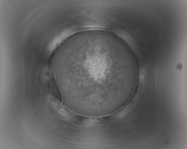 X0000113001357200909171356