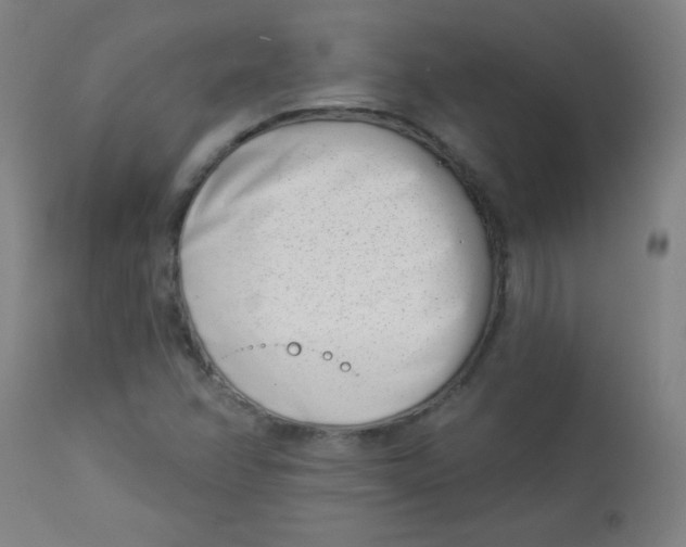 X0000113001358200909171356