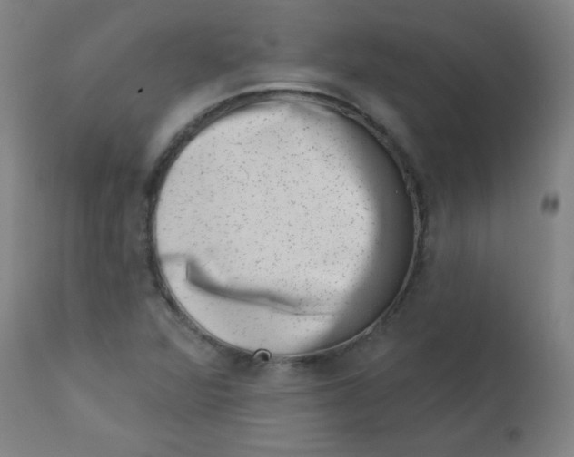 X0000113001360200909171356