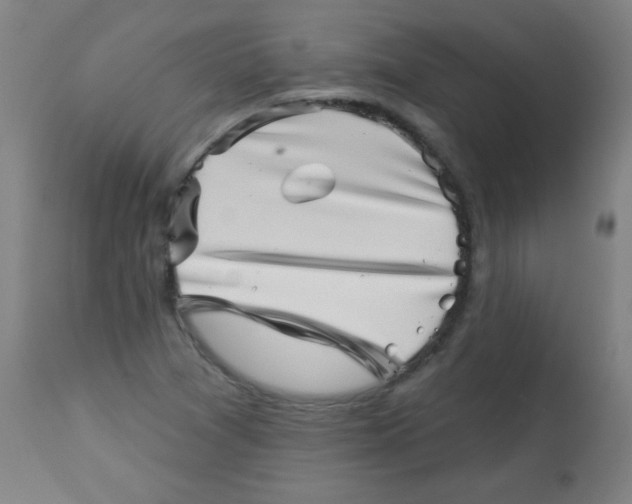 X0000113001361200909171356