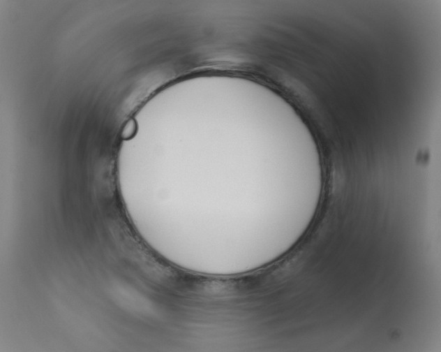 X0000113001362200909171356